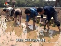 北 평안남도 평원군 원하리 농장 첫 모내기