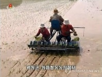 北 평안남도 평원군 원하리 농장 첫 모내기