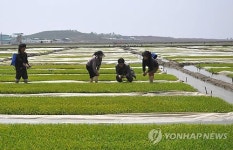 주체농법 강조하는 북한