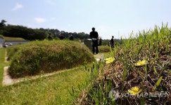 들꽃처럼 일어서라