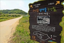 생태계 보고 민통선 즐기기…6월 가볼 만한 곳