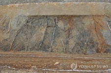 울산 약사동 제방 사적 예고