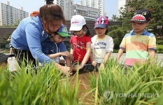 모내기 체험하는 어린이들