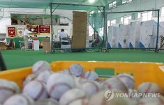 실내 야구 훈련장 설치된 투표소