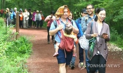 제주 사려니숲서 6회 자연치유 체험행사 열려