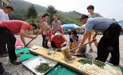 <카메라뉴스> 충주 관동마을 단오 한마당 잔치