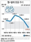 <1,010원대로 내려간 환율…향후 전망은>(종합)