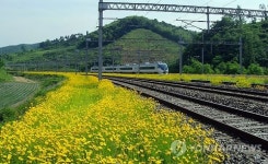  금계화로 곱게 물든 충주 동량역