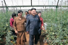 北김정은, 장천남새전문협동농장 현지 지도