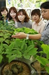 농진청, 토종 약초 전시회