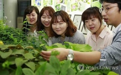 농진청, 토종 약초 전시회