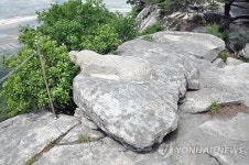 북한의 약산동대