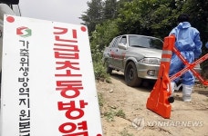 강원 횡성서 고병원성 AI…20일만에 재발