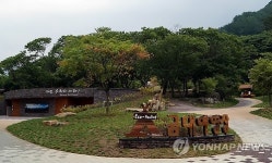 치악산 금대 에코힐링 캠프장 7월 1일 개장