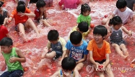 토마토와 놀다