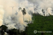美 연구진 세계 최대 열대우림 파괴국은 인도네시아