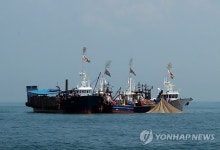 남해안 멸치조업 재개…1천100억 위판 목표