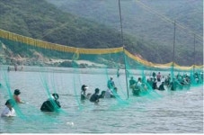 해수부, 외국인 겨냥한 어촌체험마을 시범사업
