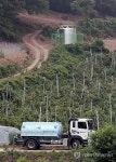 가뭄에 계곡도 말라…속타는 제천·충주 산골마을
