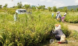 혈세 먹는 애물단지…충북 4대강 수변공원