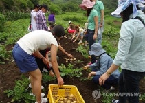 여름 휴가는 경남 농촌체험관광 우수마을로