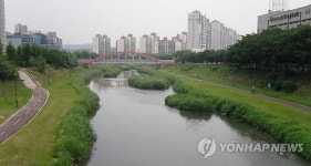 안산천 자연 생태하천으로 재탄생