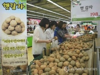 농협유통, 1사 1촌 수확 감자 판매