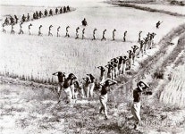 완주책박물관의 인민군 포로 이송 사진