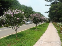 수원시, 여름꽃 명소 8곳 선정