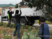 <카메라뉴스> 청정고원 진안 마이산 수박 드세요