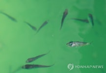 욕지도로 이사갑니다