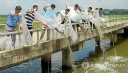 익산 함열천서 미꾸라지 치어 방류