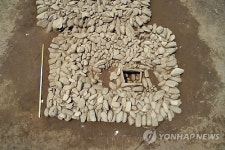 춘천 중도서 발굴된 고인돌