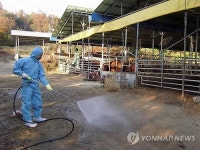 구제역 유입을 막아라
