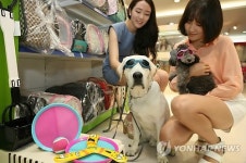 아이파크백화점, 애견 호텔 운영