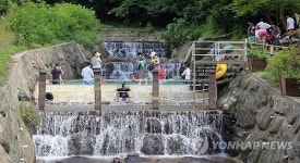 영동 민주지산 자연휴양림 피서지로 각광