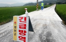 구제역 경남으로…합천 돼지 검사에서 양성(종합)
