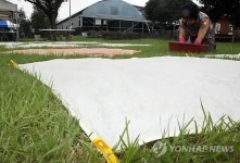 제주 천연염색 어떻게 할까…농기센터서 체험행사