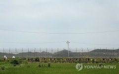 2014 대학생 서부전선 DMZ 통일발걸음