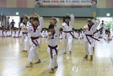 국기원 광복절 기념 태권도 시범