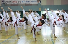 국기원 광복절 기념 태권도 시범