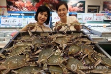 금어기 끝나자마자 잡아올린 꽃게