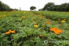 가을 문턱에서