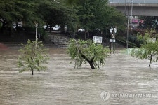 부산 집중호우 온천천 침수