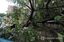 경로당 휩쓴 산사태