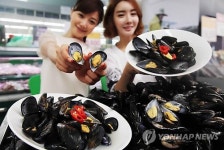 제철 맞은 홍합 드세요
