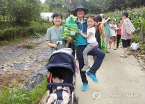 무등산 수박마을서 옥수수 수확 체험