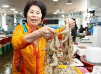 태안으로 대하 드시러 오세요