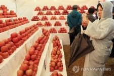 예산 옛이야기축제·황토사과축제 통합하나