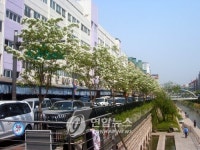 서울시 교통밀집지 차도 15㎞ 줄여 보행도시 만든다